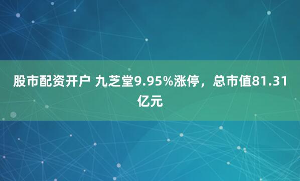 股市配资开户 九芝堂9.95%涨停，总市值81.31亿元