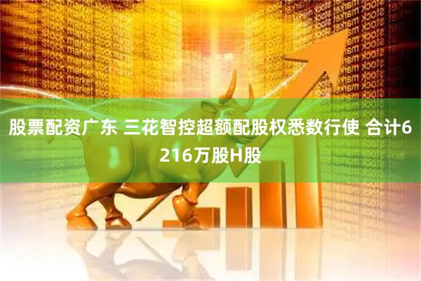 股票配资广东 三花智控超额配股权悉数行使 合计6216万股H股