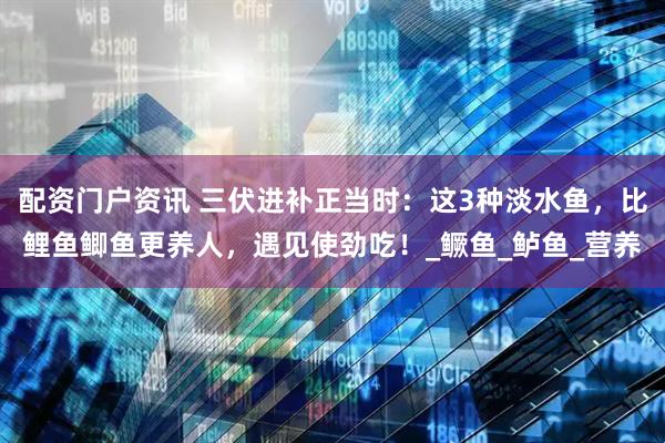 配资门户资讯 三伏进补正当时：这3种淡水鱼，比鲤鱼鲫鱼更养人，遇见使劲吃！_鳜鱼_鲈鱼_营养